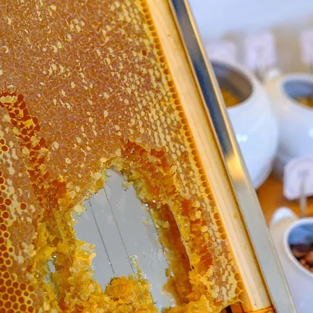 Hotel Mercure Finikoudes Larnaca