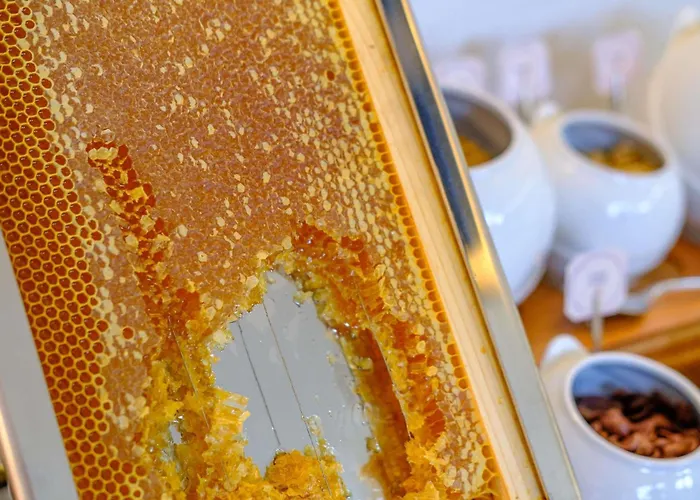 Otel Mercure Finikoudes 3*